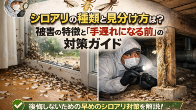シロアリの種類と見分け方ガイド｜被害の特徴と失敗しない対策・予防法を解説